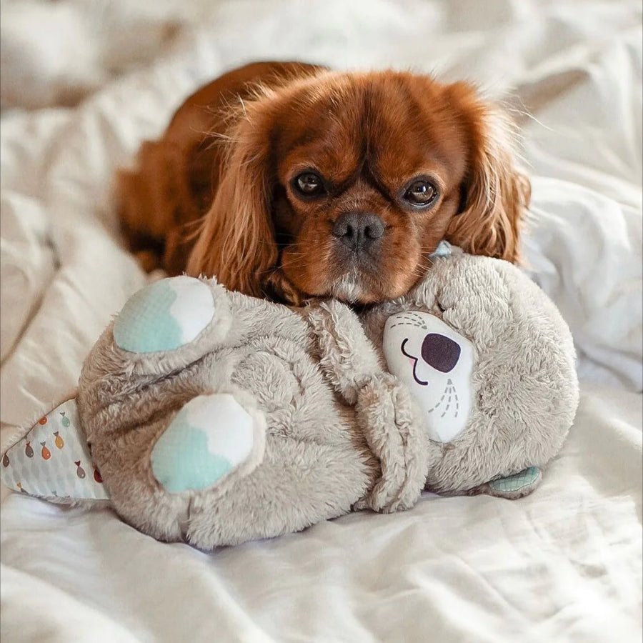 Breathing Teddy